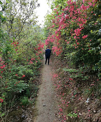 ��Ϫ�ŵ���Ѿ�����Ͷž黨