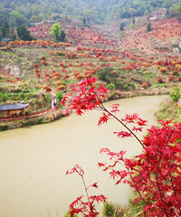 ����ͩ��������