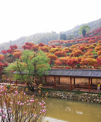 ����ͩ��������