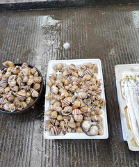 ���ź����г�����Щ�㶼����ʶ