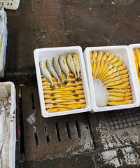 ���ź����г�����Щ�㶼����ʶ