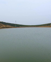 ����ɽ���վ�ɫ���ģ����������Ȼ��ɫ