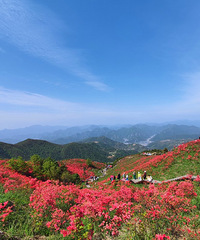 ̫��ɽ�μ�#���ݻ�