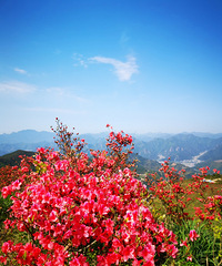 ̫��ɽ�ž鹦�ԣ���ɽ���Сʱ���ң�ǿ�Ȳ���