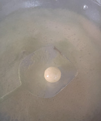 ˽����ʳ+�ֹ��̲���Բ