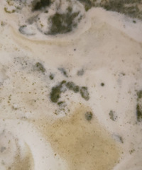 ˽����ʳ+�ֹ��̲���Բ