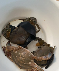 �и��ö�����ʲô���飿