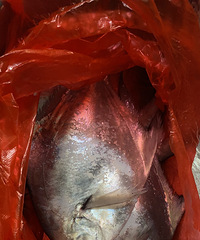 �и��ö�����ʲô���飿