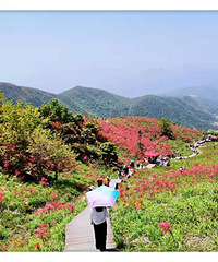 ̫��ɽ��ž黨���ڸ�·�߹���