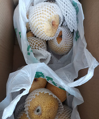 ��ɽ�棬��5ëһ����������ģ�