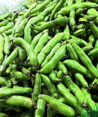 �ϲ�ү���������϶��۸񽵲�������ԭ��