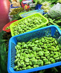 �ϲ�ү���������϶��۸񽵲�������ԭ��