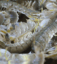 Ѱζʯ��|������ǰ���ʵĿ�