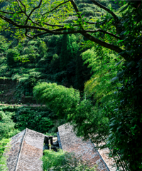 ԭ�������ƺͻ�����ô���