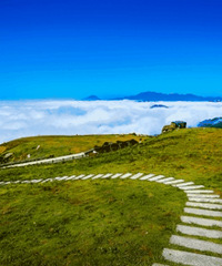 5.15-16�Լ���ļ ���衢�ɲ衢¶Ӫ