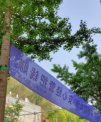 �����ɫԽ��Խ���ˣ�һ������һ����ɫ