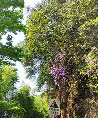 �����������м�֮���������������۵����ӣ����ɽ��