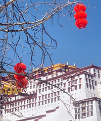 4��25�ų����Լ��δ�����ش��ߣ���ͬ�е�