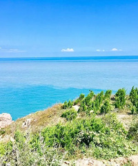 ��һ���αܿ��˴��ڵ�һЩѡ��