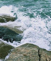 ���������٣������Ǳ��ˣ�����Ϊ���й����������򡱣�������