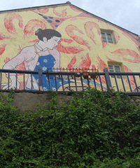 ��ɳ���ܶ෿�Ӷ������ˣ�û��ס�ʺ��Ŀֲ�Ƭ