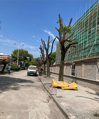 �����޼�������������