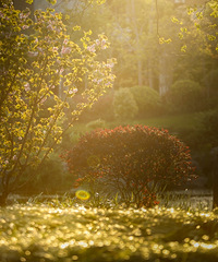 ����ɽ���ռ������������