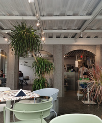 �����ھƳ����һ���޹��紴��������