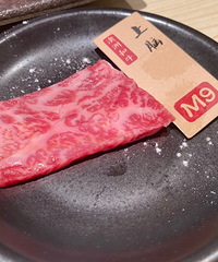 �ſ�Ǯ�ĺ�ţ����õ���Σ��������磡