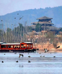 ���ڵ�һ���������ߵ��ļ������ã�