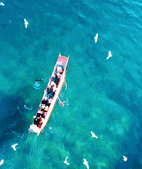 ��һ���ڣ�100���A����������Ʊ�Żݣ��������⣡