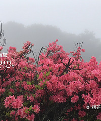 �ĳ��������;����Ŷ������￴������Ũ���е�����ɽ