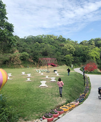 ���ճ���