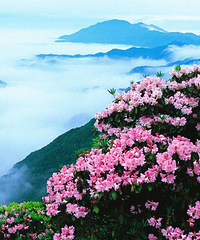 ����һ��ȥ�Ķ���ح�����ƽ��ž鿪����