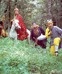 ��ɮ�����˽�˭���ʺϵ��Ϲ���