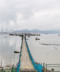 ǿ������ȥ���˵���ò�͵��������װ��