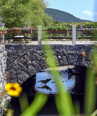 ��һС���ٽ������г����嵥������գ�