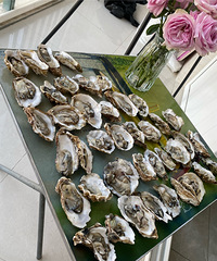 �Լ�����򺣬��ɽ���������˾��ú����ɵ���