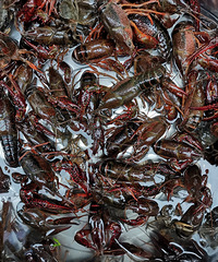 Ұ��С��Ϻ��ȥ��10Ԫ������15���з������չ�