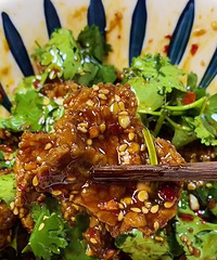 ������籬������ţ�����������������