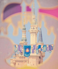 �������ռ�No.53��͵���������������һ�˴��޴���ʿ��