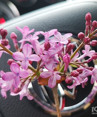 ̨������������Ͷ��㻨��