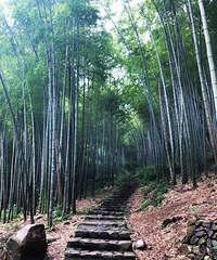 ��һ�����ѣ�һ���������ˡ����صĽ��䡱