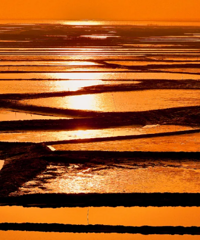 ̨������С�ں���С�ǣ�һ�����ܴ����ĺ������ã�