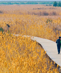 ̨������С�ں���С�ǣ�һ�����ܴ����ĺ������ã�