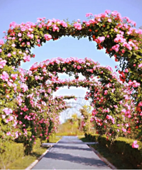 �����ˣ�̨���⼸����������һ����