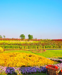 �����ˣ�̨���⼸����������һ����