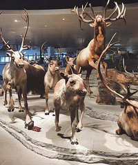 �������ռ�No.53����֪���磬ħ�������δ���Ȼ�����