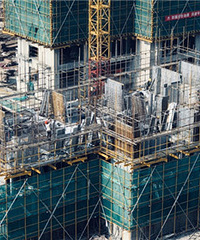 ���ľ�ĸо��������ϳ�