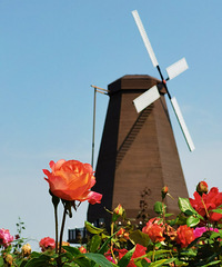 ��������ʪ�ع�԰